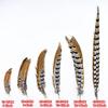 Zamihalaa Natural Lady Amherst Pheasant Feathers for Crafts12-72" Reeves Venery Pheasant Tail Feathers for Decoration Carnival Accessories view 2
