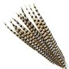 Zamihalaa Natural Lady Amherst Pheasant Feathers for Crafts12-72" Reeves Venery Pheasant Tail Feathers for Decoration Carnival Accessories view 4