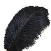 Jeniorr Elegant Black Ostrich Feathers for Crafts 15-70cm 6-28inch Wedding Party Supplies Carnival Dancer Decoration Plumes view 1