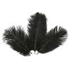 Jeniorr Elegant Black Ostrich Feathers for Crafts 15-70cm 6-28inch Wedding Party Supplies Carnival Dancer Decoration Plumes view 2