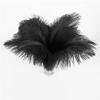 Jeniorr Elegant Black Ostrich Feathers for Crafts 15-70cm 6-28inch Wedding Party Supplies Carnival Dancer Decoration Plumes view 3