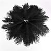 Jeniorr Elegant Black Ostrich Feathers for Crafts 15-70cm 6-28inch Wedding Party Supplies Carnival Dancer Decoration Plumes view 4