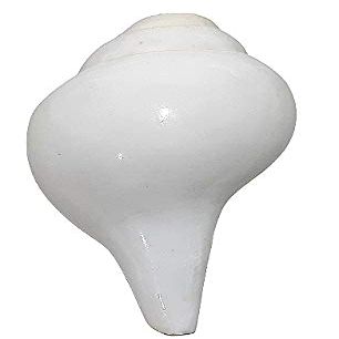 Shankha Bajnewala Pooja Pure Original Natural Blowing Bamavarti Home Tempel Office Puja Room, Sound is Very Loud (6 x 3 inch) Easily Use