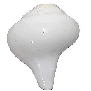 Shankha Bajnewala Pooja Pure Original Natural Blowing Bamavarti Home Tempel Office Puja Room, Sound is Very Loud (6 x 3 inch) Easily Use