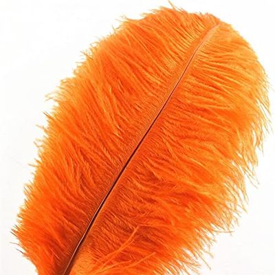 Jeniorr Orange Ostrich Feathers for Crafts 15-70cm Carnival Costumes Party Home Wedding Decorations Natural Plumas Plumes