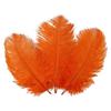 Jeniorr Orange Ostrich Feathers for Crafts 15-70cm Carnival Costumes Party Home Wedding Decorations Natural Plumas Plumes view 3