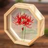 moosoop Transparent Embroidery?Embroidery for Beginner, Modern Embroidery Kit, Hand Embroidery Kit, Flowers Embroidery Pattern, DIY Embroidery Kit (6) view 1