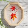 moosoop Transparent Embroidery?Embroidery for Beginner, Modern Embroidery Kit, Hand Embroidery Kit, Flowers Embroidery Pattern, DIY Embroidery Kit (6) view 4