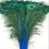 50 Pcs Dyed Peacock Feathers 40"-45" for Halloween Home Decor Bridal Vases Centerpieces (Royal Blue) view 1