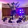 50 Pcs Dyed Peacock Feathers 40"-45" for Halloween Home Decor Bridal Vases Centerpieces (Royal Blue) view 2
