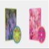 RBW Entertainment PURPLE KISS - HIDE & SEEK (2nd Mini Album) (Random ver.), L200002254 view 1