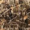 Hydrographic Film Grasslands Camouflage Camo Activator Combo 6oz dip Wizard Hydro dip Dipping view 3