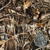 Hydrographic Film Grasslands Camouflage Camo Activator Combo 6oz dip Wizard Hydro dip Dipping view 4