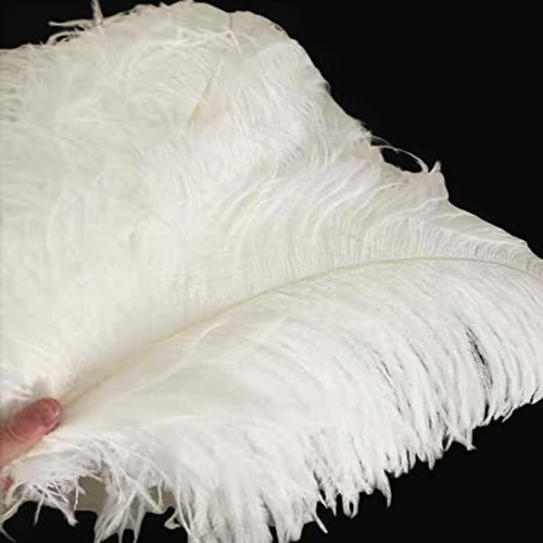 100Pcs/lot 15-70CM Natural White Ostrich Feathers Crafts Home DIY Large Feathers Ostrich Plume Clothes Party Wedding Decoration - Zamihalaa