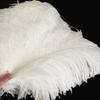 100Pcs/lot 15-70CM Natural White Ostrich Feathers Crafts Home DIY Large Feathers Ostrich Plume Clothes Party Wedding Decoration - Zamihalaa view 1