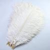 100Pcs/lot 15-70CM Natural White Ostrich Feathers Crafts Home DIY Large Feathers Ostrich Plume Clothes Party Wedding Decoration - Zamihalaa view 2