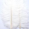 100Pcs/lot 15-70CM Natural White Ostrich Feathers Crafts Home DIY Large Feathers Ostrich Plume Clothes Party Wedding Decoration - Zamihalaa view 3
