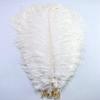 100Pcs/lot 15-70CM Natural White Ostrich Feathers Crafts Home DIY Large Feathers Ostrich Plume Clothes Party Wedding Decoration - Zamihalaa view 4