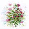 MP Studia - Honey Clover - Counted Cross Stitch Kit 9" x 13" 27 Count Linda 24 Colors Series Aquarelle A-033 view 1