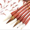 EIERFSKIOT Chinese Calligraphy Brush,Brush pens,Chinese Calligraphy Writing Brush Watercolor Chinese Calligraphy Brush Set Kanji Japanese Sumi Painting Drawing Brushes view 2