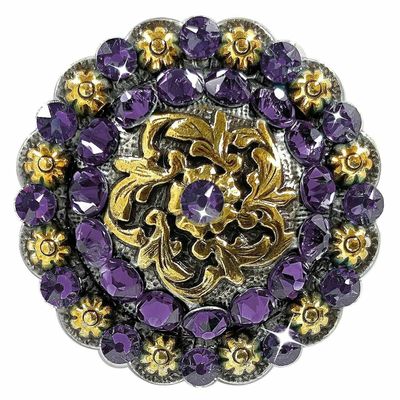 BS9188 Coloma Antique Gold Berry Rhinestone Crystal Concho (BS9188-4-ASAG, Tanzanite-1-3/4")