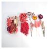 HANRUO Dried Flower Dry Plants-1 Box Real Dried Flower for Aromatherapy Candle Epoxy Resin Pendant Necklace Making Craft DIY Accessories (Color : No. 1) view 2