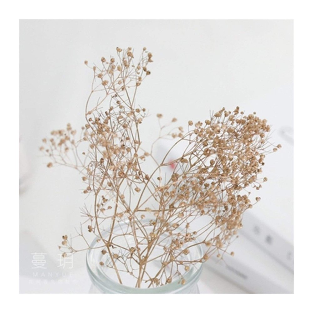 HANRUO Dried Flowers-1g/ Bag DIY Aromatherapy Candle Making Dried Flowers Grass Little Dry Flower (Color : 9)