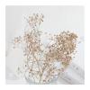 HANRUO Dried Flowers-1g/ Bag DIY Aromatherapy Candle Making Dried Flowers Grass Little Dry Flower (Color : 9) view 1