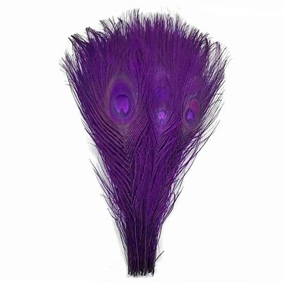 100 Pieces Purple Bleached & Dyed Peacock Tail Eye Wholesale Feathers (Bulk) 10-12 Long Halloween Craft Supply | Moonlight Feather