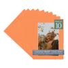 CountryArtHouse Orange Acid Free 16x20 Picture Frame Mats with White Core Bevel Cut for 11x17 Pictures - Fits 16x20 Frame - Pack of 10 Mats - with Bags & Backings view 1