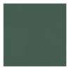 CountryArtHouse Hunter Green Acid Free 8x10 Backing Board - Uncut Photo Mat Board - 1 Sheet view 3