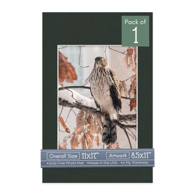 CountryArtHouse Textured Black Acid Free 11x17 Picture Frame Mats with White Core Bevel Cut for 8.5x11 Pictures - Fits 11x17 Frame - One Mat