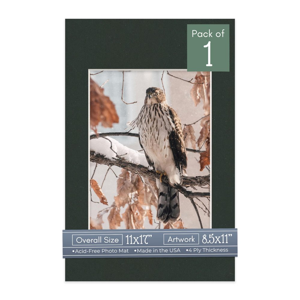 CountryArtHouse Textured Black Acid Free 11x17 Picture Frame Mats with White Core Bevel Cut for 8.5x11 Pictures - Fits 11x17 Frame - One Mat