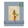 CountryArtHouse Mid Grey Acid Free 8x10 Picture Frame Mats with White Core Bevel Cut for 5x7 Pictures - Fits 8x10 Frame - One Mat view 1