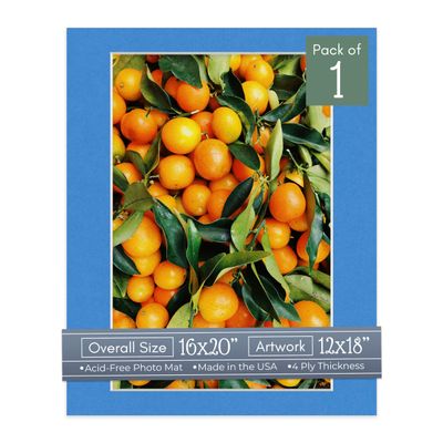 CountryArtHouse Bay Blue Acid Free 16x20 Picture Frame Mats with White Core Bevel Cut for 12x18 Pictures - Fits 16x20 Frame - One Mat