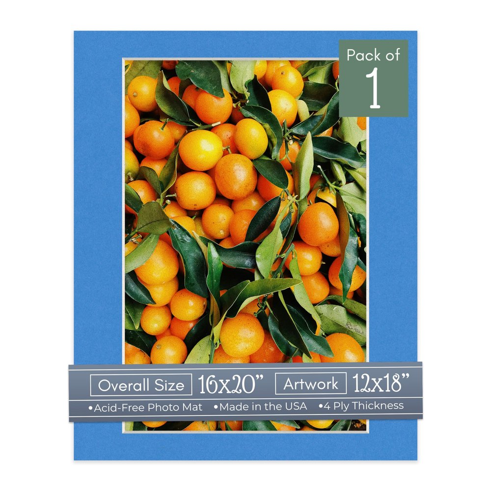 CountryArtHouse Bay Blue Acid Free 16x20 Picture Frame Mats with White Core Bevel Cut for 12x18 Pictures - Fits 16x20 Frame - One Mat