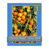 CountryArtHouse Bay Blue Acid Free 16x20 Picture Frame Mats with White Core Bevel Cut for 12x18 Pictures - Fits 16x20 Frame - One Mat view 1
