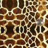 Hydrographic Dip Kit Giraffe Pattern 16oz dip Demon Hydro dip Dipping view 4