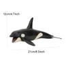 Realistic Killer Whale Model, Handcrafted Ornaments, Gift for Home Office, Unique Whale Decor view 2