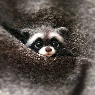 WellieSTR Wool Felt Animal (Raccoon) - Animal Needle Felting Kit for Beginners Felting kit - Wool Roving kit - with Tools