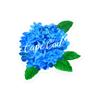 Lantern Press Sticker Cape Cod, Massachusetts, Hydrangea, Watercolor, Die Cut Vinyl, (Waterproof Decal for Cars, Water Bottles, Laptops, Coolers), Small view 1