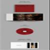 CNBLUE WANTED 9th Mini Album Random Version CD+80p Booklet+3p PostCard+1p Film Photo+2p Selife PhotoCard+Message PhotoCard SET+Tracking Kpop Sealed view 3