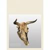 Dan Models 24003-1/24 Diorama Accessories. Cow Skull 2 pcs. view 1