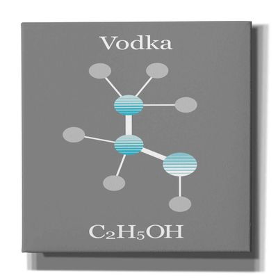 Epic Graffiti 'Vodka Molecule' by Epic Portfolio, Giclee Canvas Wall Art, 18"x26"