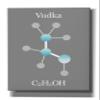 Epic Graffiti 'Vodka Molecule' by Epic Portfolio, Giclee Canvas Wall Art, 18"x26" view 1