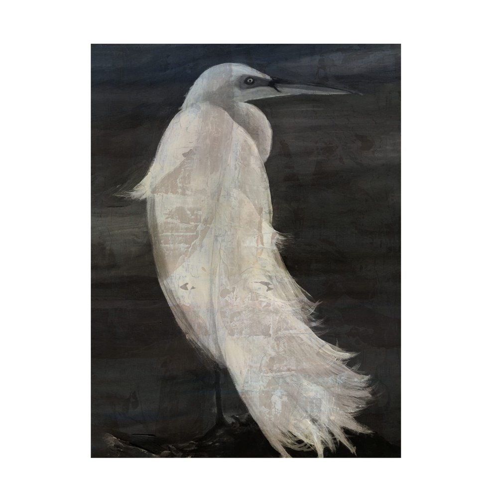 Trademark Fine Art 'Textured Egret II' Canvas Art by Stellar Design Studio