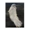 Trademark Fine Art 'Textured Egret II' Canvas Art by Stellar Design Studio view 1