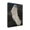 Trademark Fine Art 'Textured Egret II' Canvas Art by Stellar Design Studio view 2