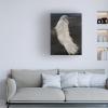 Trademark Fine Art 'Textured Egret II' Canvas Art by Stellar Design Studio view 3