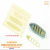 Infini model IM-535004R1 1/350 IJN Destroyer SHIMAKAZE 1944 Detail UP Sets (for Fujimi 460017) view 2